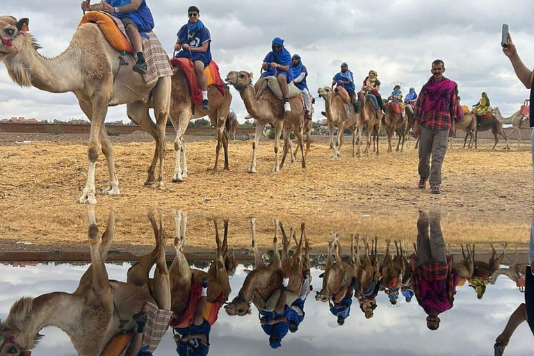 From Marrakech: Three Valleys, Waterfall, Atlas Mount’s Trip Three Valley, Waterfalls, Atlas Mountains Day Trip and Camel