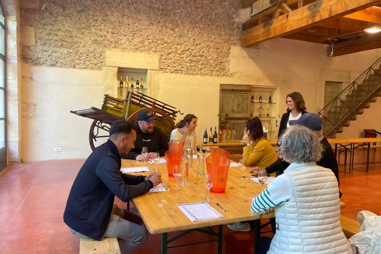 Montpellier: wijntour van een halve dag Picpoul de Pinet