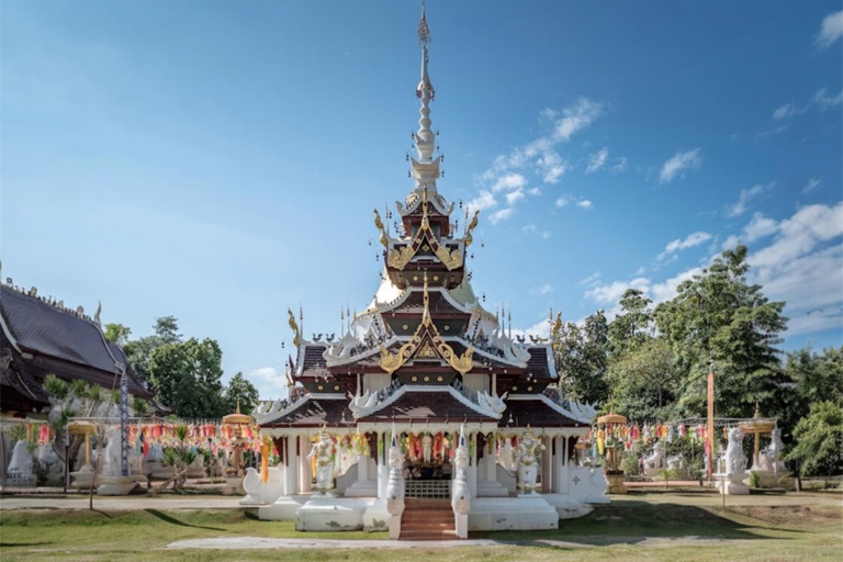 Chiang Mai: Temple Visit & Elephant Nature Observation