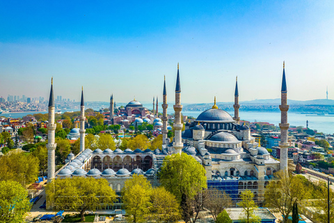 Istanbul: Topkapi Palace + Harem, Hagia Sophia & Blue Mosque
