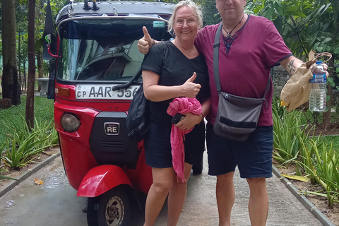 The Best Kandy Tuk-Tuk city Tour with a Professional Guide