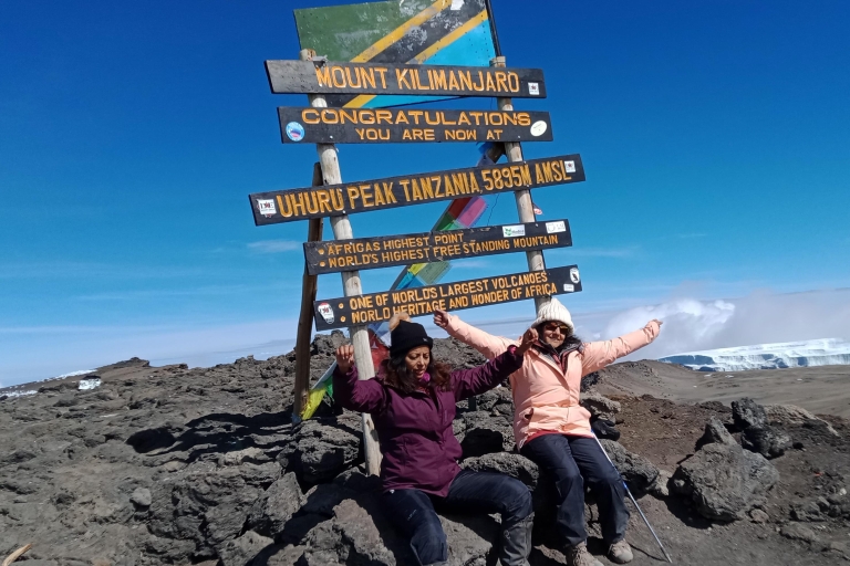 Kilimanjaro bedwingen: 7-daagse Lemosho Route Expeditie