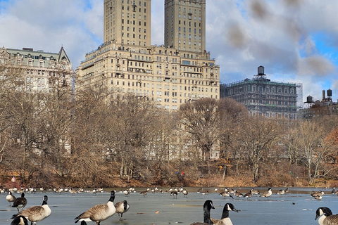 Guided Pedicab Tour in Central Park