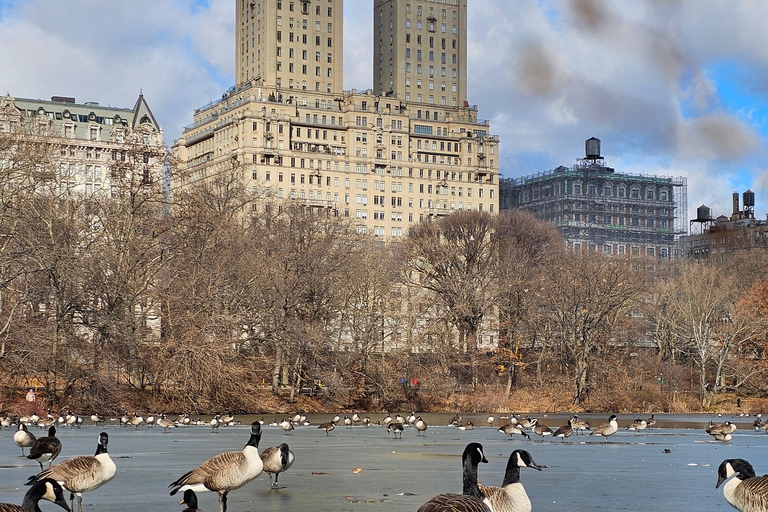 Guided Pedicab Tour in Central Park