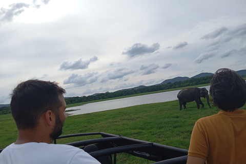 Desde Sigiriya: Safari de medio día en jeep por el Parque Nacional de Minneriya