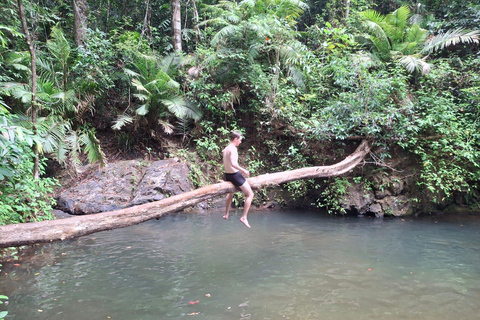 From Phuket: Guided Rainforest Hike with Lunch