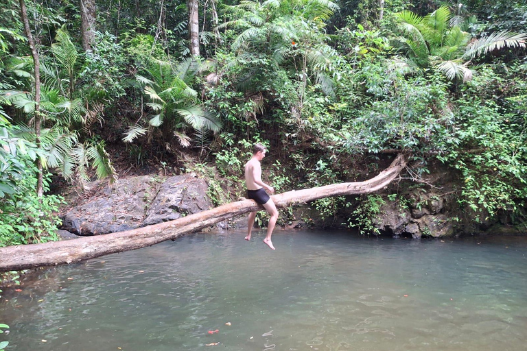 From Phuket: Guided Rainforest Hike with Lunch