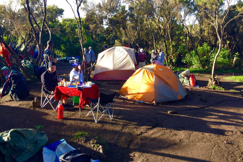 6 giorni di scalata del Kilimangiaro sulla via Machame