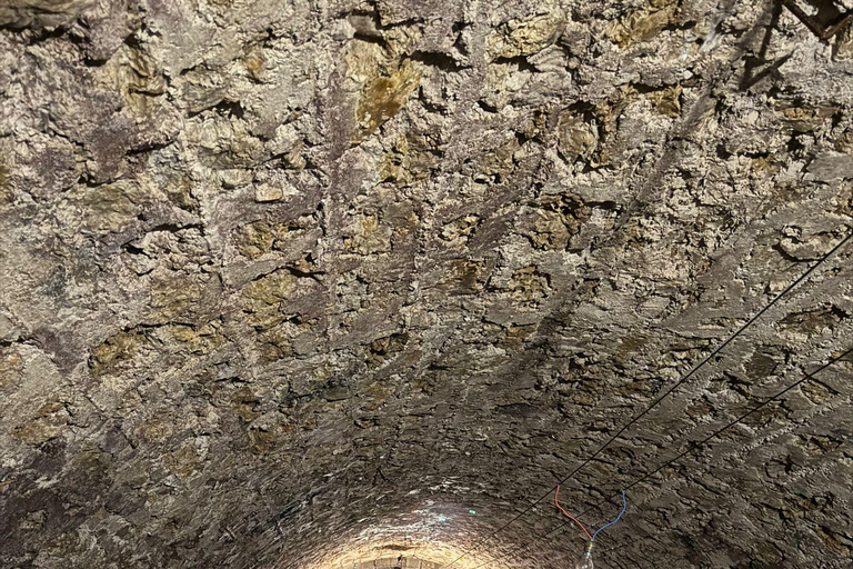 Reims: Moët & Chandon and Family-Run Winery Day Tour & Lunch Epernay: Moët & Chandon, Family-Run Winery Day Tour & Lunch