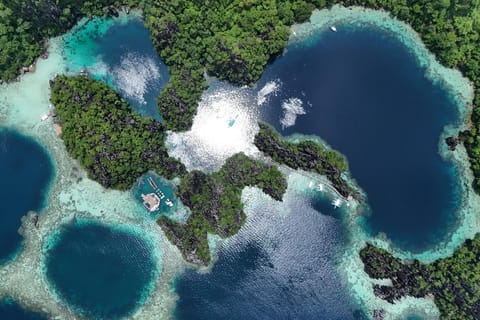 CORON: Kayangan Lake, Baracuda Lake and Twin Lagoon, etc. - Image 2