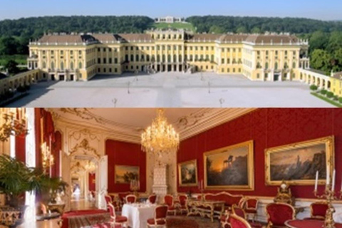 Vienna Pass: Schönbrunn Palace, Danube Cruise, Big Bus... Vienna 5-Attraction Pass