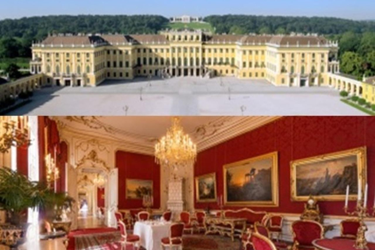 Vienna Pass: Schönbrunn Palace, Danube Cruise, Big Bus... Vienna 3-Attraction Pass