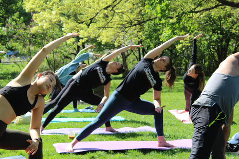 Central Park: Der bestbewertete Yoga-Kurs in New York City!