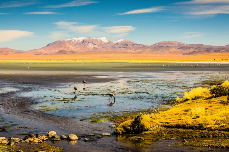 Uyuni: Uyuni Salt Flats and San Pedro de Atacama 3-Day Tour