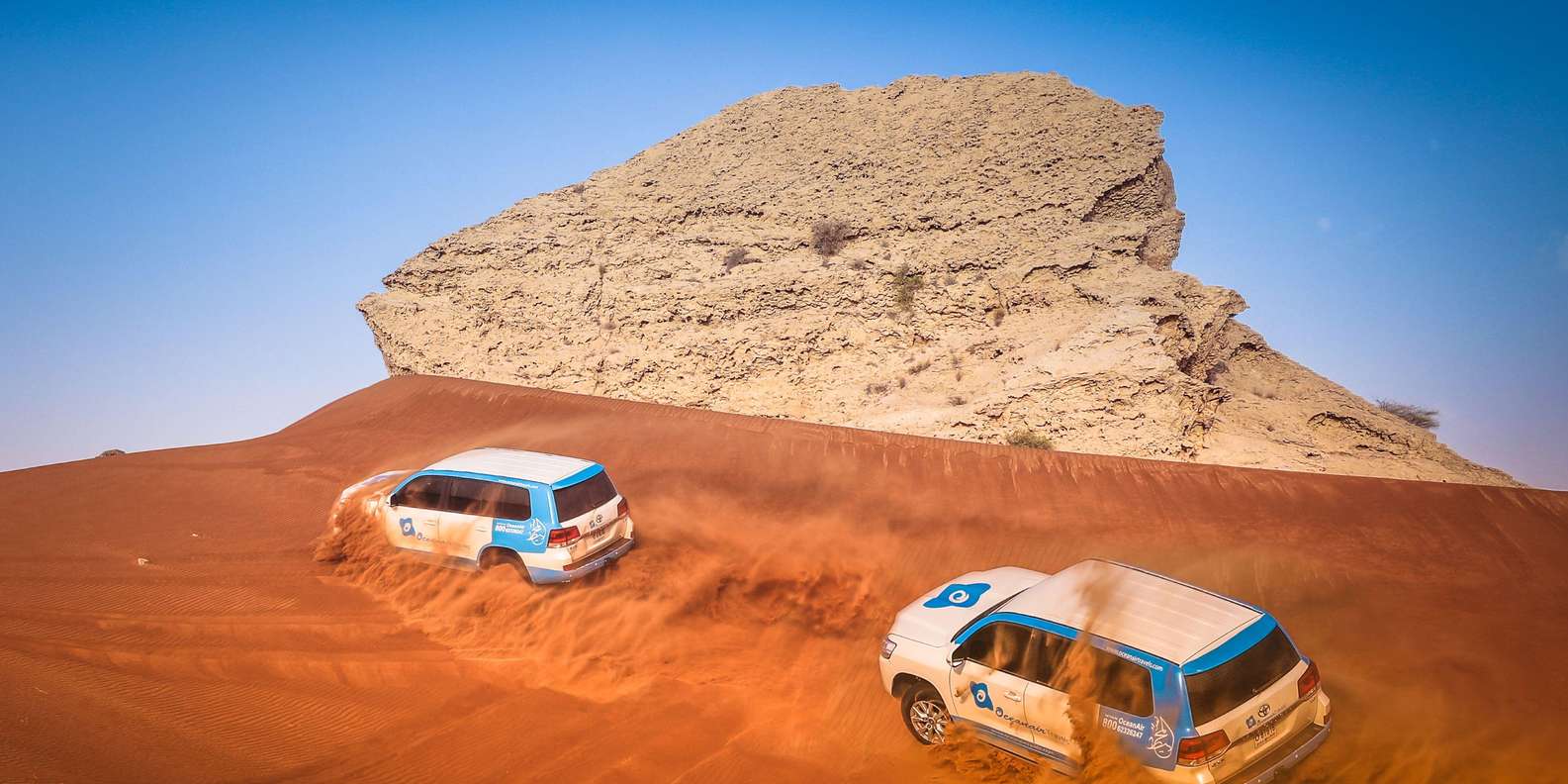 Dubai: Half-Day Desert Safari, Camel Ride, ATV & Dune Buggy