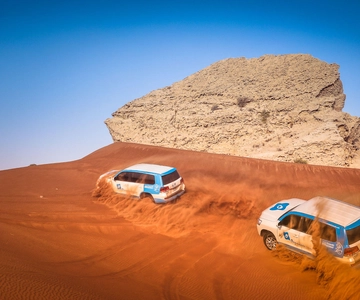 Dubai: Half-Day Desert Safari, Camel Ride & Quad Bike