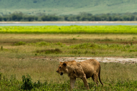 Sansibar: 4-tägige Safari-Reise zum atemberaubenden NatronseeAtemberaubende Lake Natron Safari Reise - Komfortable Unterkunft