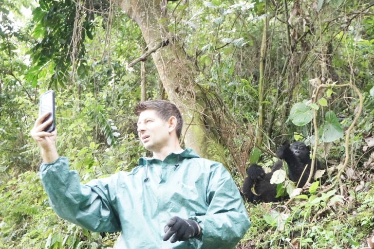 4 Tage Gorilla Trekking Tour-Ruanda