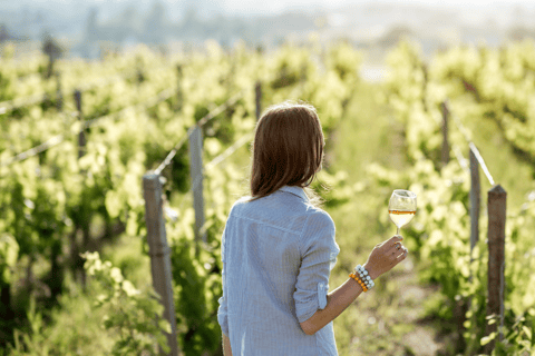 Visite privée de luxe : Sites antiques de Némée et dégustation de vin