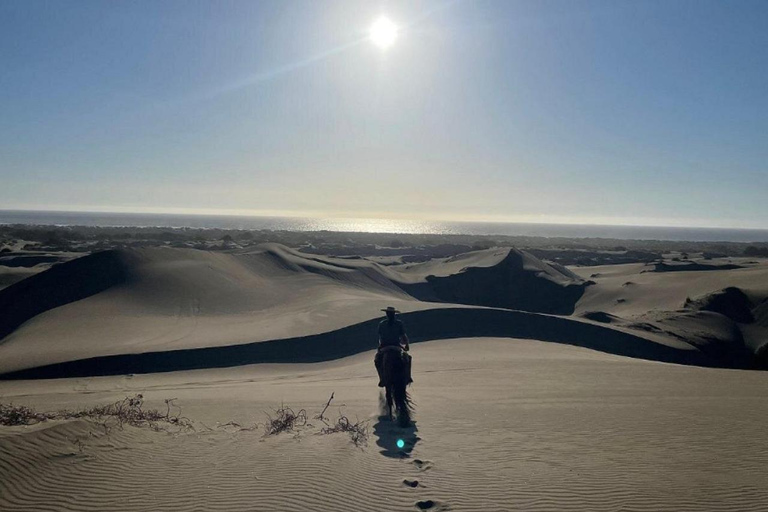 Santiago : balade à cheval, dunes de sable avec transfert et barbecue en optionSantiago : Balade à cheval, dunes de sable avec transfert et barbecue en option