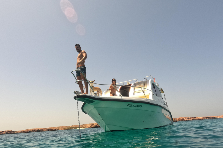 Île de Daymaniyat : Aventure de 2 plongées !