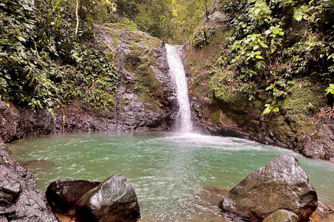 COSTA RICA:UPPTÄCK COSTARICAS VILDA DJUR-STRAND &amp; SKOG 2VECKOR