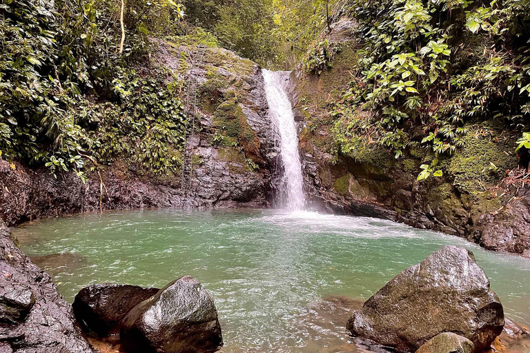 COSTA RICA:UPPTÄCK COSTARICAS VILDA DJUR-STRAND &amp; SKOG 2VECKOR