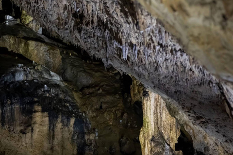 From Brasov: Slanic Salt Mine and Rasnov Cave + Tickets Private Tour – Entry Tickets Included