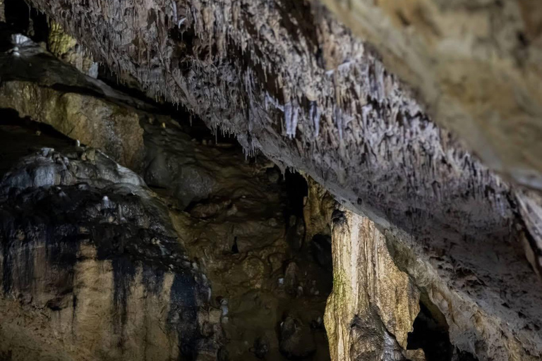 From Brasov: Slanic Salt Mine and Rasnov Cave + Tickets Private Tour – Entry Tickets Included