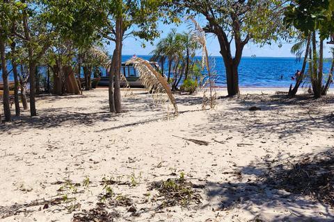 From Manaus: 4-Day Amazon Rainforest Expedition with Meals