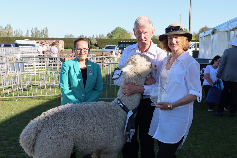 From Christchurch: Alpaca Farm Tour with Feeding and Guide