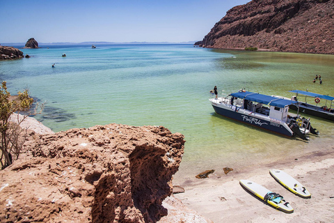 La Paz: Espíritu Santo Island, Balandra Beach, and Sea Lions – All-Inclusive La Paz: Espíritu Santo Island and Balandra, All-Inclusive