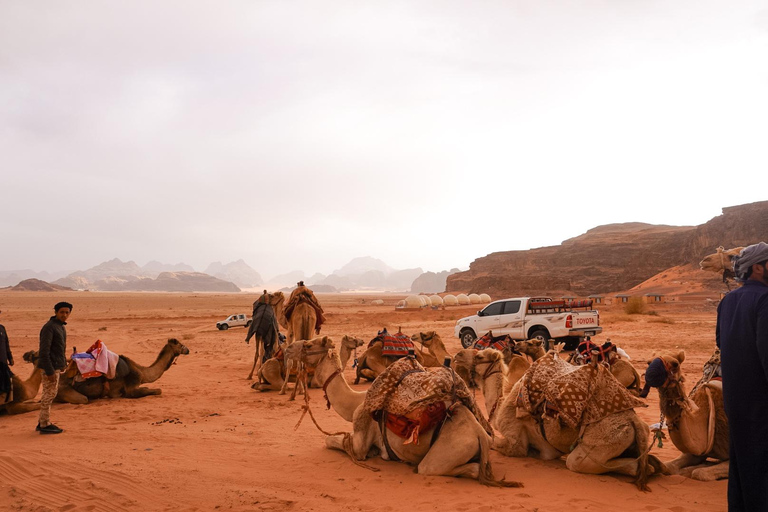 Wadi Rum: 1 Hour Camel Ride with a Bedouin Guide Wadi Rum: 4 Hour Camel Ride with a Bedouin Guide and Tea