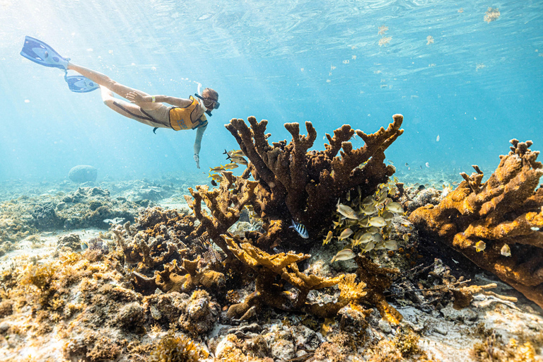 Cancun: Catamaran Cruise to Isla Mujeres with Snorkeling