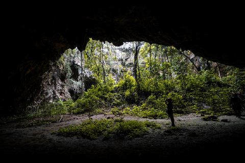 Yogyakarta: Tour della Grotta di Jomblang e della Grotta di Pindul con pranzo