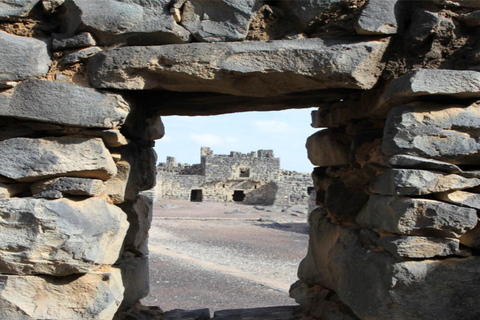 History & Nature: Azraq Wetland Reserve and Desert Castles