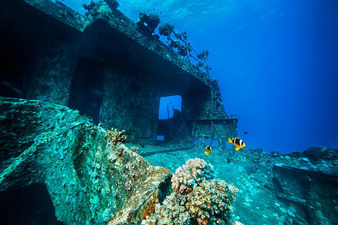Hurghada: Dive Experience for Beginners or Certified Divers Full-Day Scuba Diving for Certified Divers