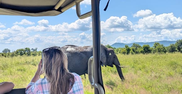 Exclusive Mikumi Day Safari from Zanzibar by Flight