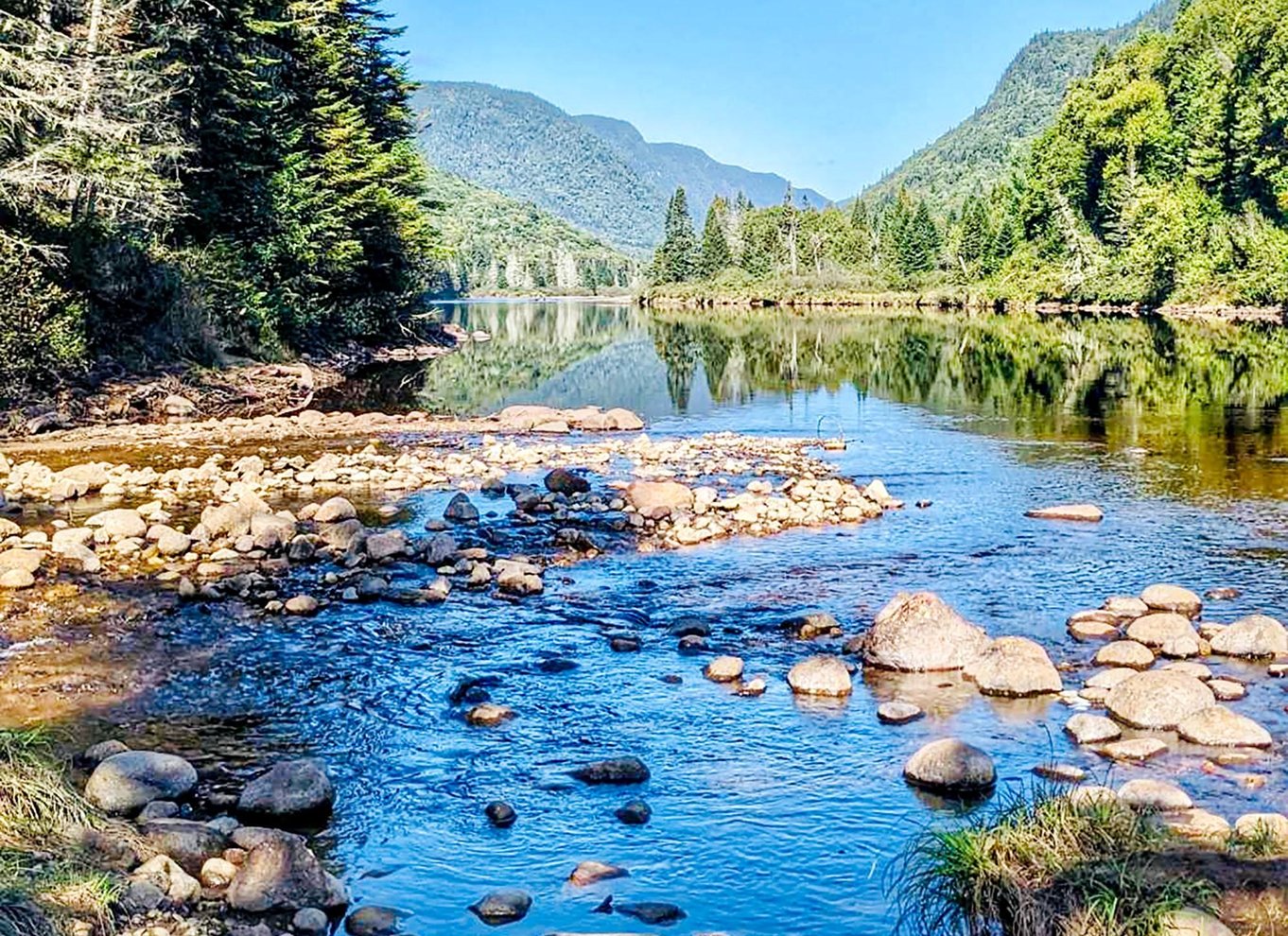 Quebec City: Guidet vandretur i Jacques-Cartier National Park