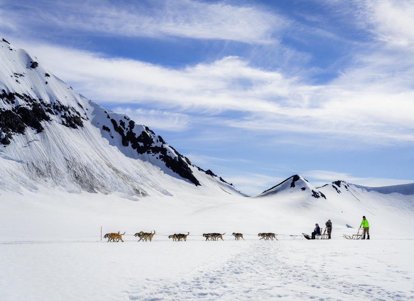 Anchorage-området: Helikopter- og gletsjerhundeslædetur