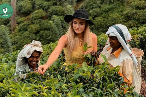 Kandy: Nuwara Eliya Tag Erkundung per Tuk Tuk mit ortskundigem Guide