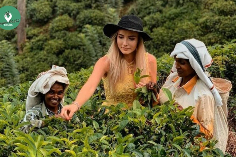 Kandy: Nuwara Eliya Tag Erkundung per Tuk Tuk mit ortskundigem Guide