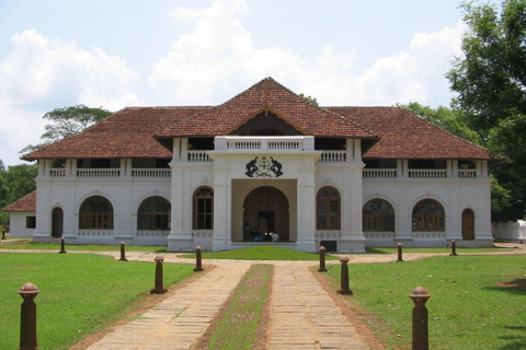 Kochi Airport: Private Half-Day Guided Layover Tour