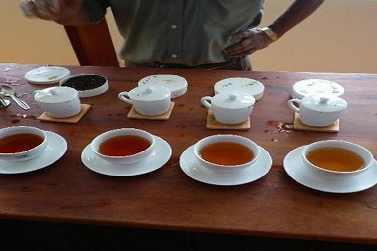 Ella: Tea Factory, Waterfalls and Cooking Class Tour