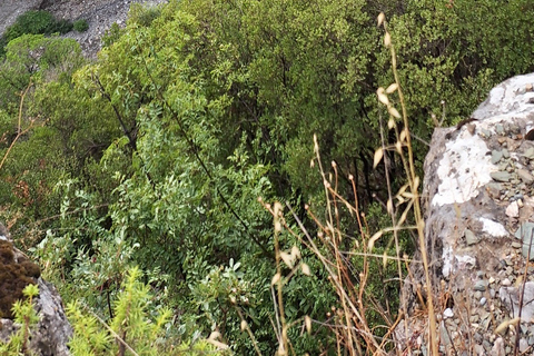 Tirana: Berat, Bogova Waterfall & Osumi Canyon Jeep Tour