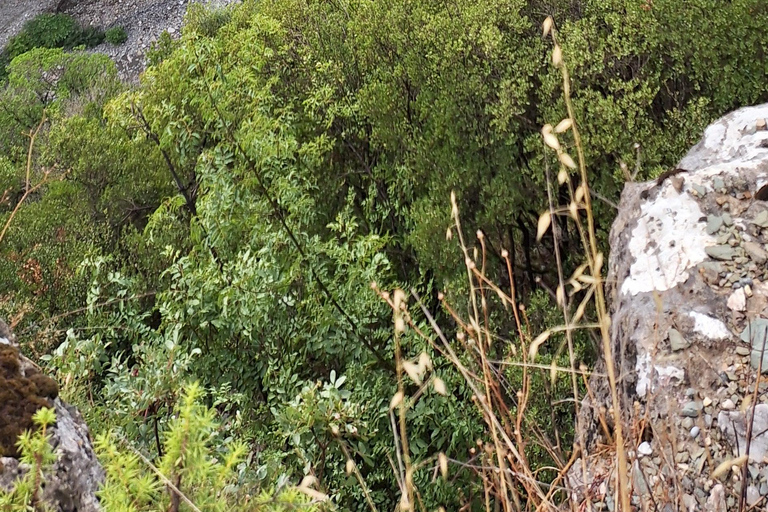 Tirana: Berat, Bogova Waterfall & Osumi Canyon Jeep Tour