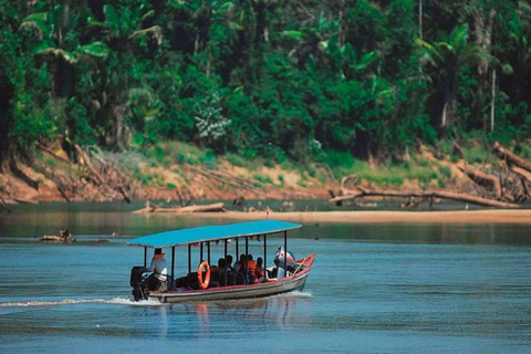 Cusco: Manu National Park 5-Day Jungle Wildlife Tour