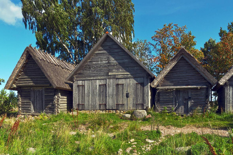 From Tallinn: 5-Day Wild Estonia Tour with Bear Watching