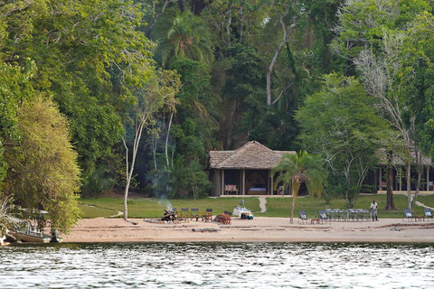 Rubondo Island 2-Day Safari with Chimpanzee Tracking