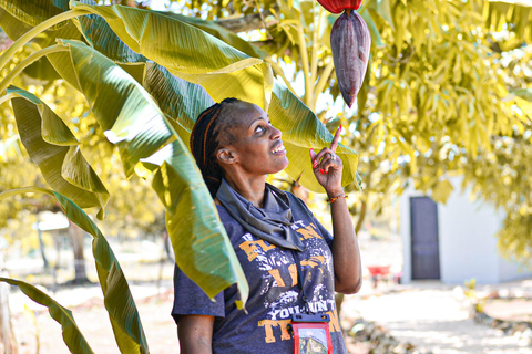Buggy Tour Punta Cana: grotte magiche, spiagge da sogno e culturaTour in dune buggy a Punta Cana: grotte magiche, spiagge da sogno e cultura